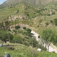 فروش عسل صدرصد طبیعی به شرط|خوردنی و آشامیدنی|پاکدشت, پاکدشت (مامازند)|دیوار