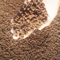 پوکه معدنی قروه کردستان|مصالح و تجهیزات ساختمان|کرج, شهرک پردیسان|دیوار