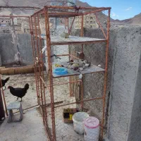 قفس کبوتر|لوازم جانبی حیوانات|اصفهان, قهجاورستان|دیوار