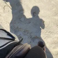 آموزش سوارکاری