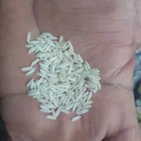 فروش برنج هاشمی|خوردنی و آشامیدنی|بندرعباس, |دیوار