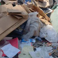 خرید کارتون