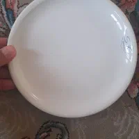 ۸ عدد بشقاب چینی میو خوری ۱۰۰ تومن