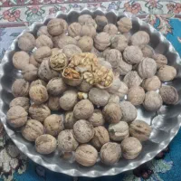 ریشه زعفران|خوردنی و آشامیدنی|قم, انسجام|دیوار