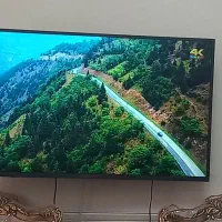 تلویزیون دوو ۴۹ اینچ با کارتن