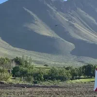 زمین کشاورزی و باغ