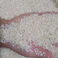 برنج نیم دانه طارم هاشمی کشت اول|خوردنی و آشامیدنی|آمل, |دیوار