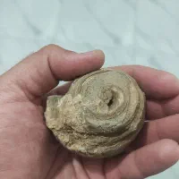سو ارا مهران چم