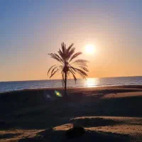 تور لیدر محلی|تور و چارتر|چابهار, |دیوار