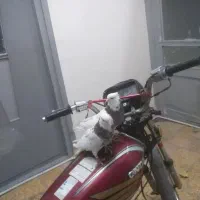 یه جفت طوقی