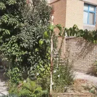 ویلایی دو طبقه محله ب۱|فروش خانه و ویلا|فولادشهر, B1|دیوار