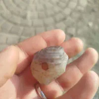 بابا قوری خام