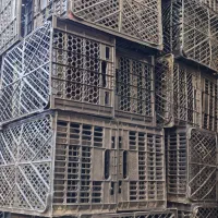 سبد گوجه فرنگی