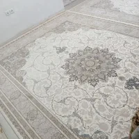 فرش نو نو ۱۲۰۰ شونه قیمت ۲۰ ملیون|فرش|دلیجان, |دیوار