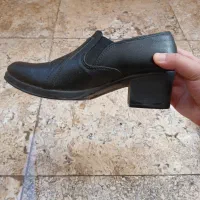 کفش پاشنه بلند|کیف، کفش، کمربند|قم, انسجام|دیوار