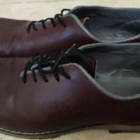 کفش مردانه در حد نو|کیف، کفش، کمربند|آستارا, |دیوار