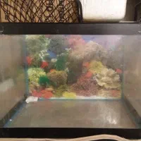 اکواریوم سایز 55×45×35 شیشه خم شرکتی