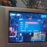 تلوزیون|تلویزیون و پروژکتور|ساری, |دیوار