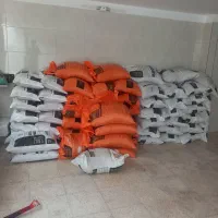 دانه مرغ برنا