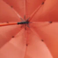 چترهای مشکی در چهار رنگ