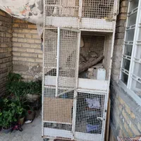 قفس سه طبقه،  طول وعرض 1مترارتفاع270|لوازم جانبی حیوانات|شیراز, شهرک کوشکک|دیوار
