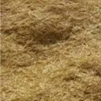 کاه عدس