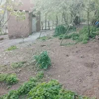 فروش باغ