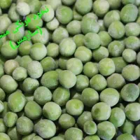 استخدام بازریاب و ویزیتور|استخدام بازاریابی و فروش|رشت, لاکان|دیوار