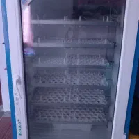 دستگاه جوجه کشی فیدان اروند