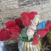 ۲ تا گلدان با گل