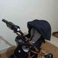 کالسکه نوزاد دلیجان بنیتا