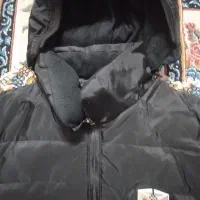 کاپشن|لباس|شیراز, شهرک کوثر|دیوار