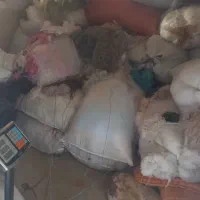 الیاف سفید ورنگی  پفکی|رختخواب، بالش، پتو|دزفول, |دیوار