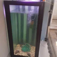 آکواریوم ۵۰در۷۰|ماهی|لنگرود, |دیوار