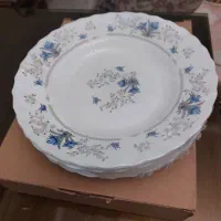 آبگوشت خوری و دیگر ظروف آرکوپال پارس اوپال آکبند|ظروف سرو و پذیرایی|تهران, صادقیه|دیوار