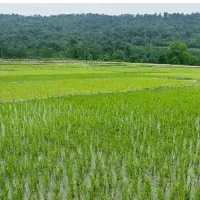 فروش-زمین-باغی-و-کشاورزی