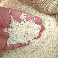 برنج شمال/برنج درجه یک/برنج طارم اعلاء/برنج هاشمی|خوردنی و آشامیدنی|بابل, |دیوار