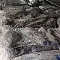 قارچ|خدمات باغبانی و درختکاری|گرگان, |دیوار