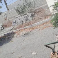 زمین شیخ آباد کوچه الکتریکی هاشمی