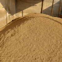 گندم بذردرجه یک ۱۰تن
