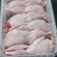 بلدرچین گوشتی