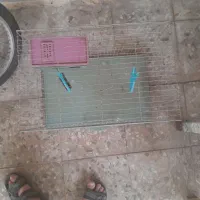 قفس|لوازم جانبی حیوانات|رامهرمز, |دیوار