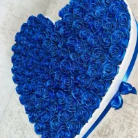 شاخه ای ۱۵هزار