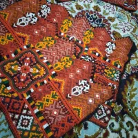 زیاستین نارنجی گل وَی وَی