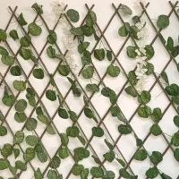 لوازم سالن|آرایشگاه و سالن‌های زیبایی|بجنورد, |دیوار