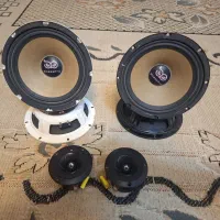 میدرنج سایز ۸ باسپرو همراه با تیوتر