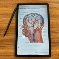 تبلت سامسونگ tab s6 lite|تبلت|شیراز, نصر|دیوار