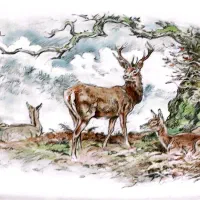 فروش سرویس غذاخوری چینی ۱۰۰ ساله کلکسیونر ی