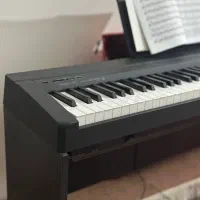Piano P-45