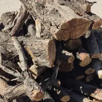 چوب شومینه ای خیلی خشک استثنایی انواع کنده وچوب|عمدهفروشی|تفت, |دیوار